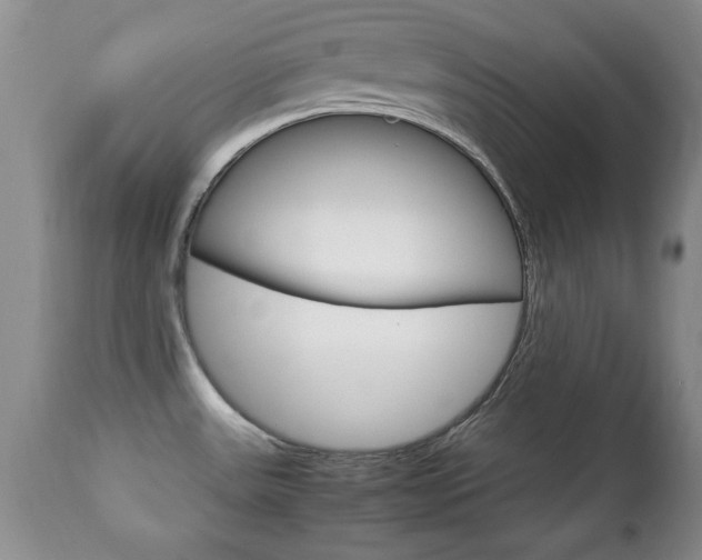 X0000112791531200908210926