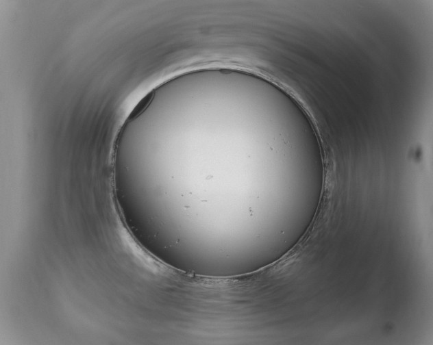 X0000112791532200908210926