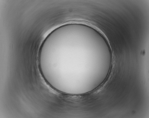 X0000112791533200908210926