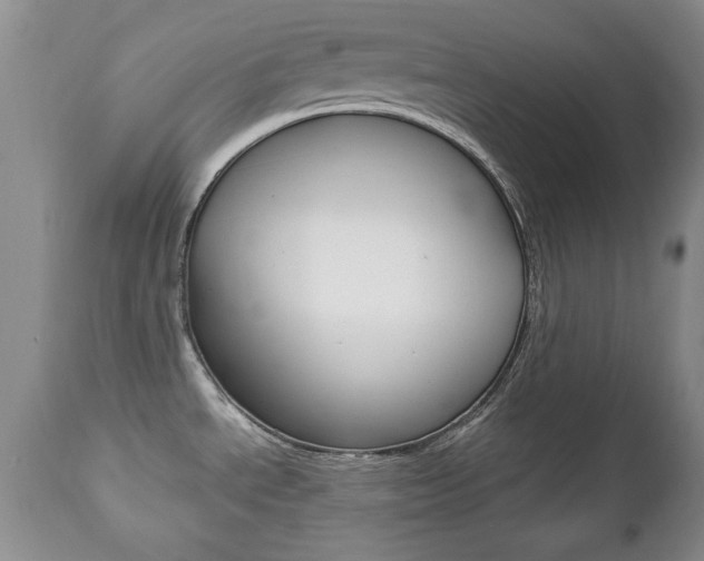 X0000112791534200908210926