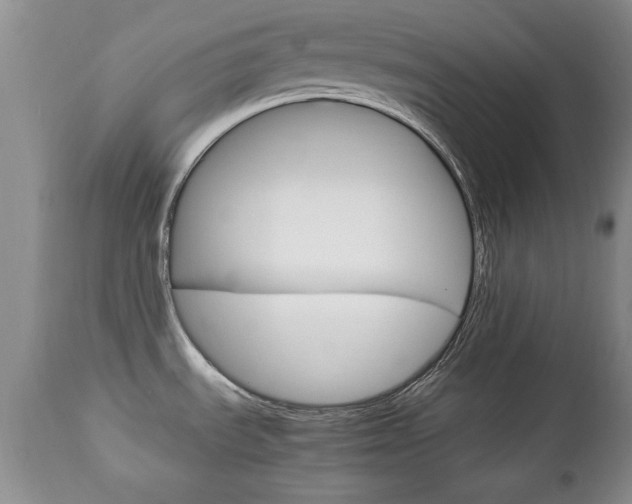 X0000112791535200908210926