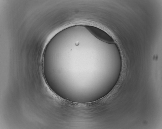 X0000112791536200908210926