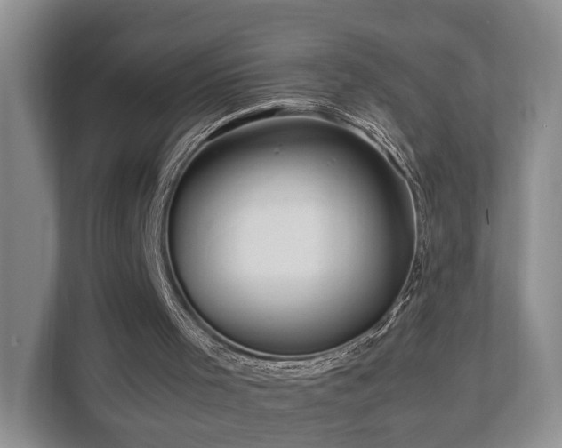 X0000112790001200908211123