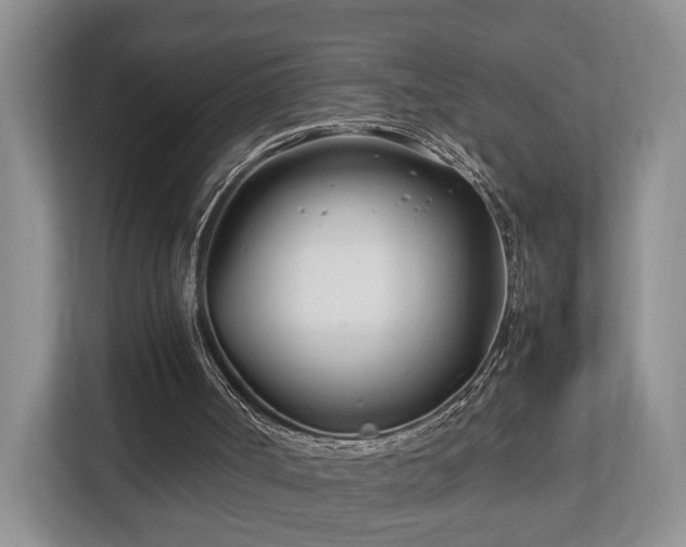 X0000112790002200908211123