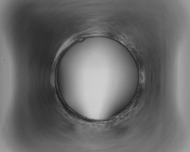 X0000112790004200908211123