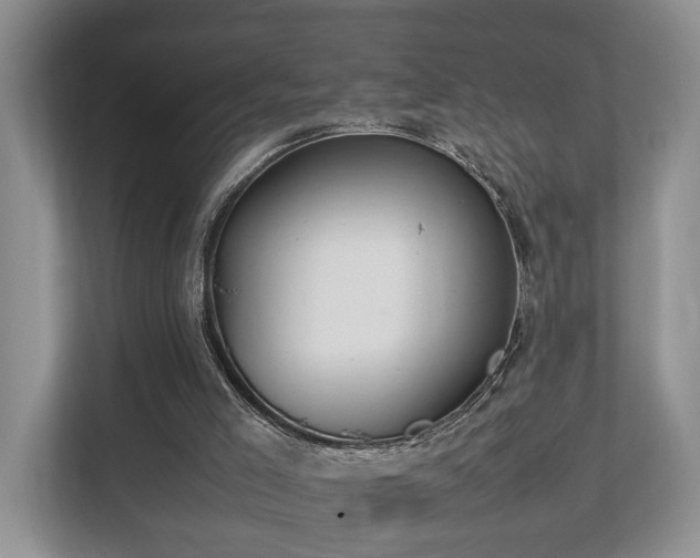 X0000112790005200908211123