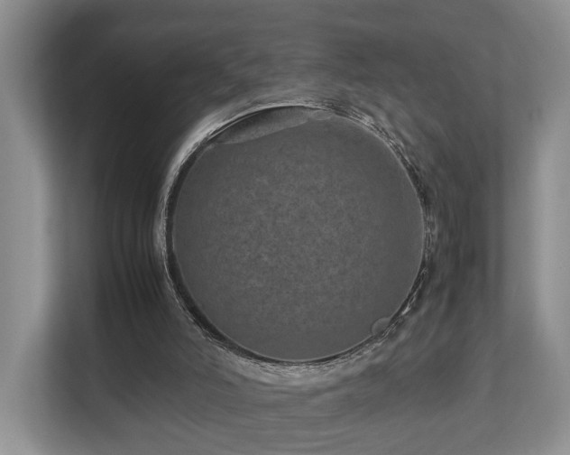 X0000112790006200908211123