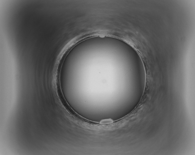 X0000112790007200908211123