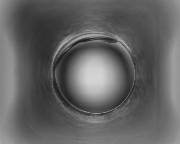 X0000112790008200908211122