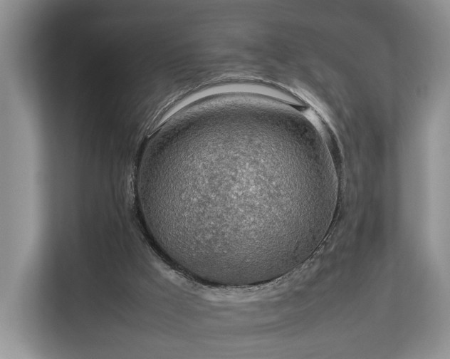 X0000112790009200908211122