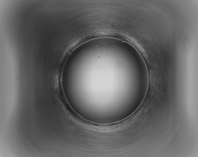 X0000112790010200908211122