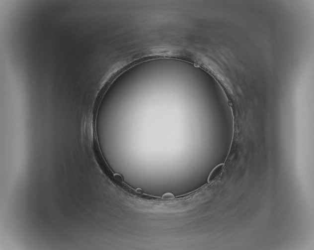 X0000112790011200908211122