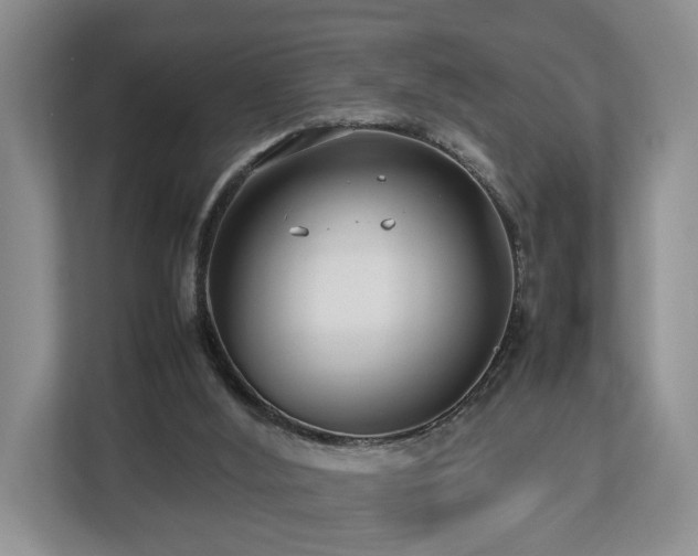 X0000112790012200908211122