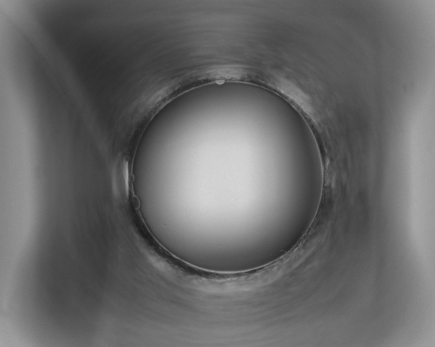 X0000112790013200908211122