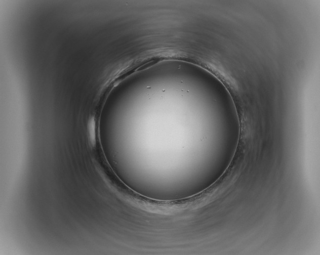 X0000112790014200908211122