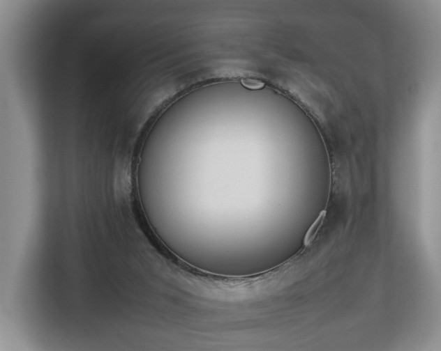 X0000112790015200908211122