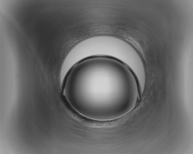 X0000112790017200908211122