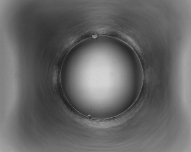 X0000112790018200908211122