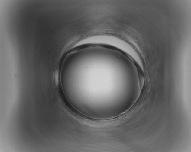 X0000112790019200908211122