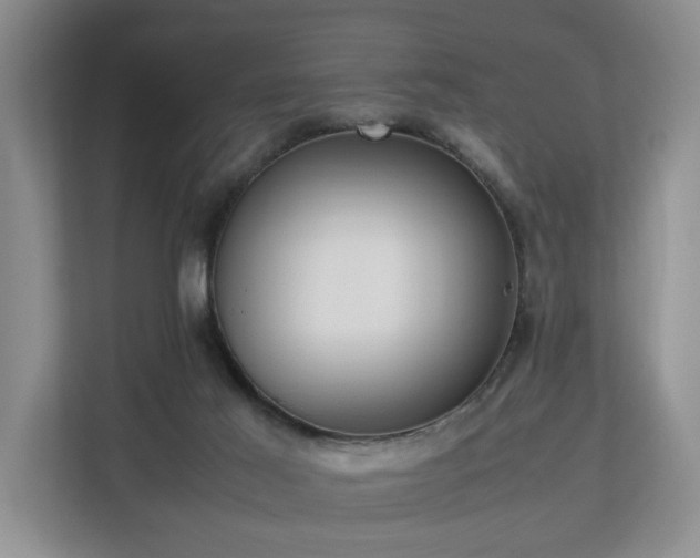 X0000112790021200908211122