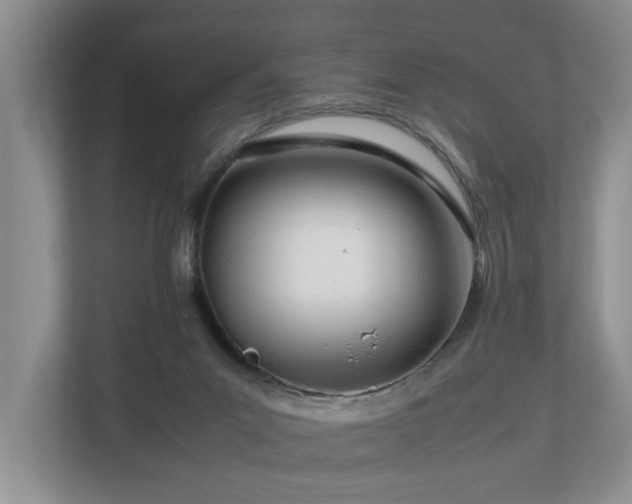 X0000112790023200908211122