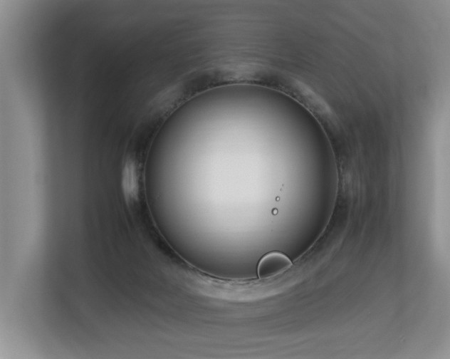 X0000112790026200908211122