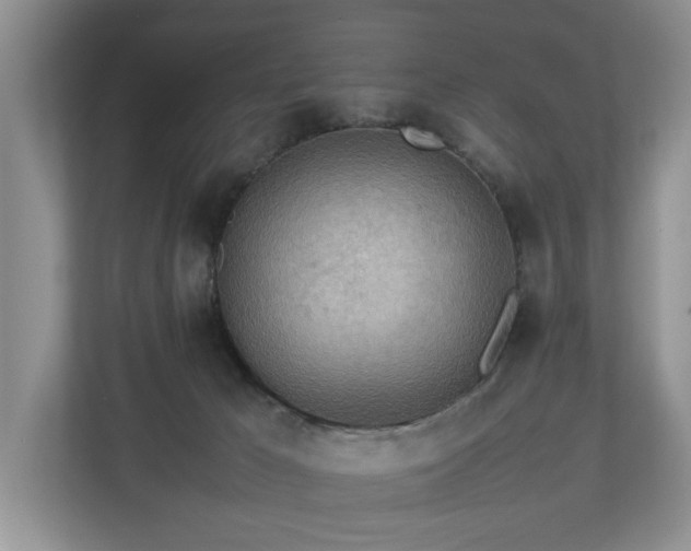 X0000112790029200908211122