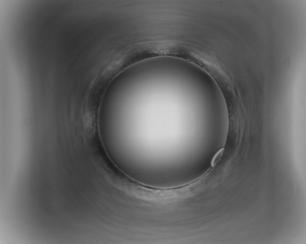 X0000112790031200908211122