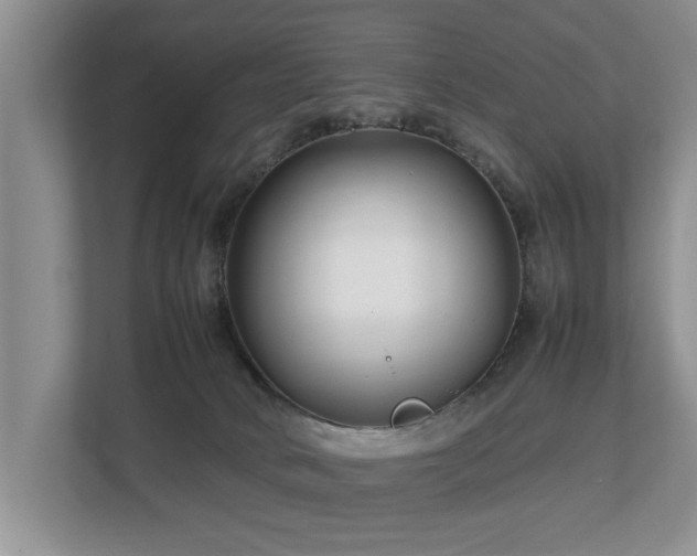 X0000112790034200908211122