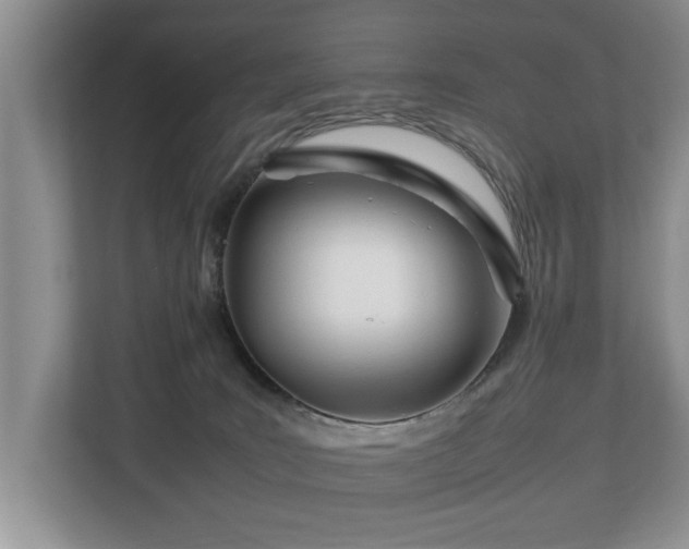 X0000112790035200908211122