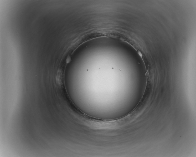 X0000112790036200908211122