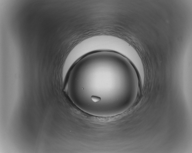 X0000112790037200908211122