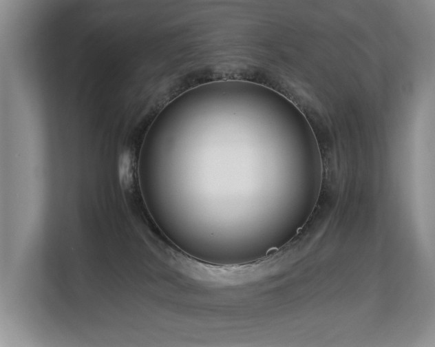 X0000112790038200908211122