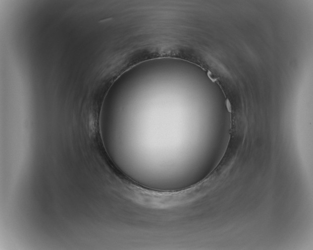 X0000112790039200908211122