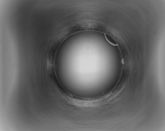 X0000112790040200908211122