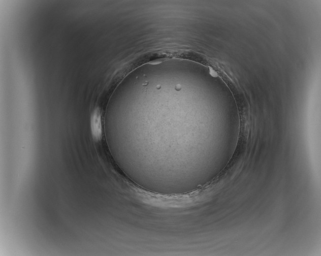 X0000112790042200908211122