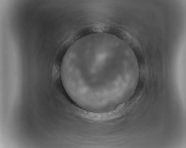 X0000112790043200908211122