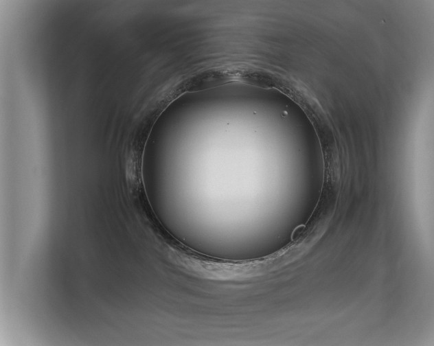 X0000112790044200908211122