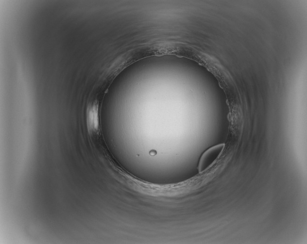 X0000112790046200908211122