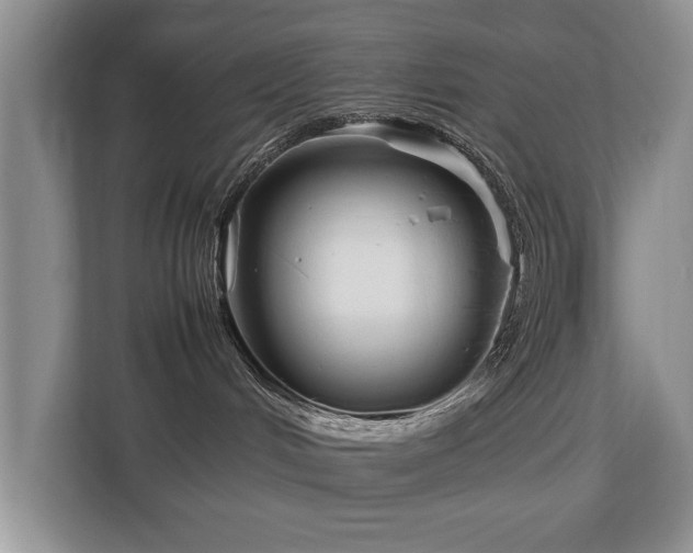 X0000112790048200908211122