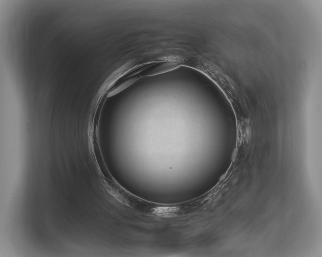 X0000112790051200908211121