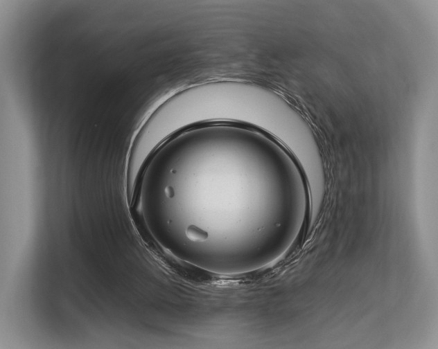 X0000112790052200908211121