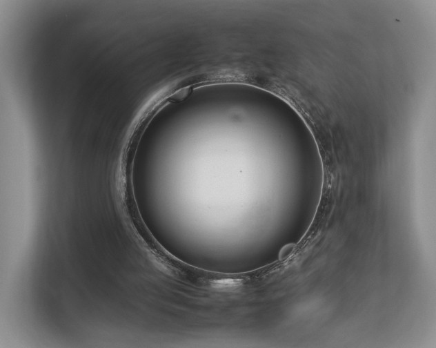 X0000112790053200908211121