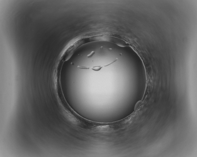 X0000112790054200908211121