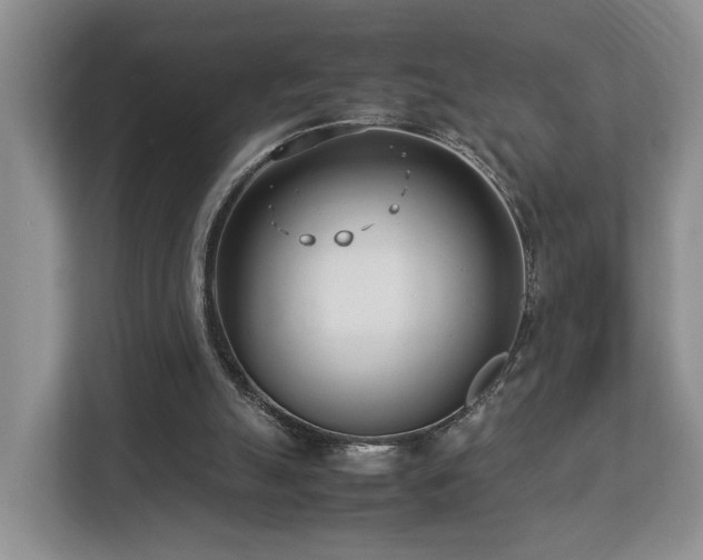 X0000112790055200908211121