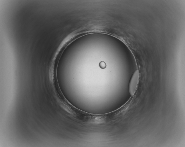 X0000112790056200908211121