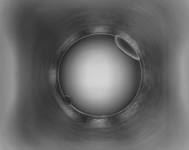 X0000112790057200908211121