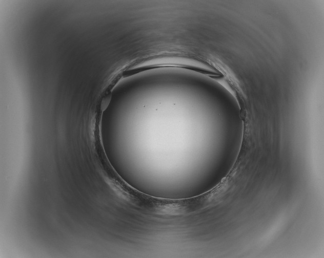 X0000112790058200908211121