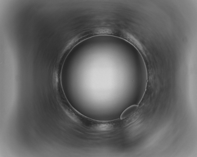 X0000112790059200908211121