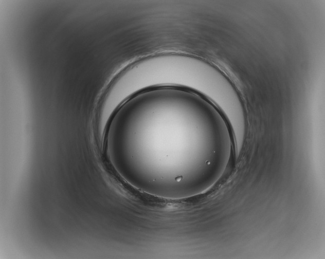 X0000112790060200908211121